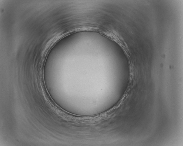 X0000072950001200608111637