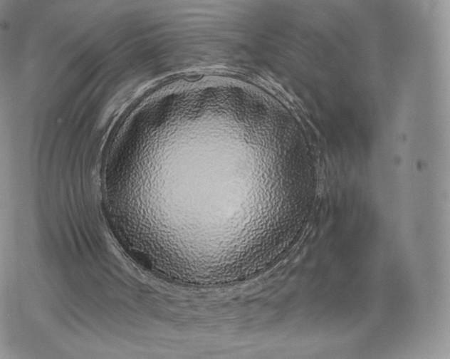 X0000072950002200608111637