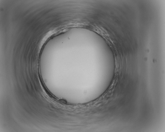 X0000072950003200608111637