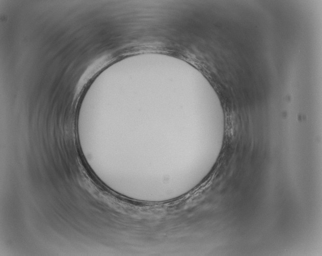 X0000072950004200608111637