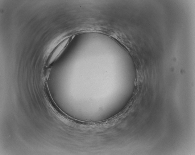 X0000072950005200608111637