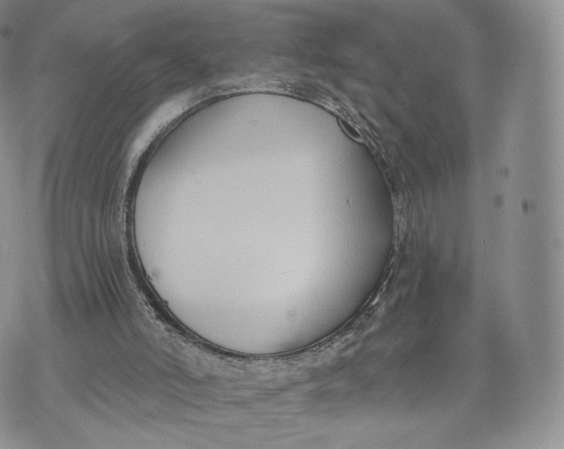 X0000072950006200608111637