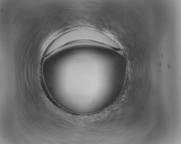 X0000072950007200608111637