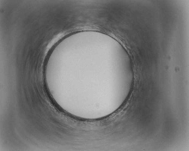 X0000072950008200608111637