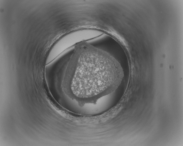 X0000072950009200608111637