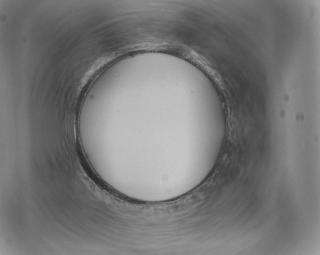 X0000072950011200608111637