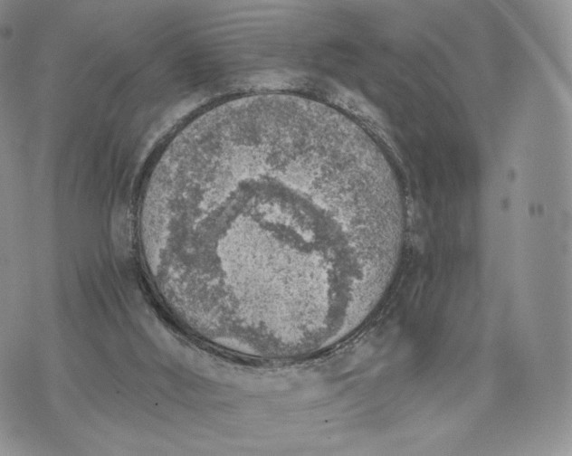 X0000072950012200608111637