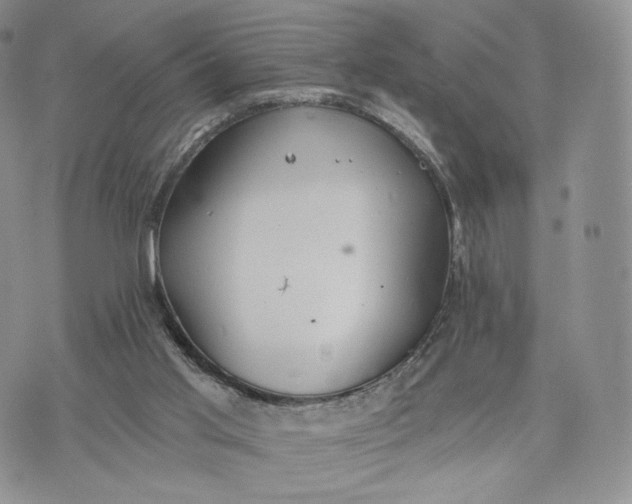 X0000072950013200608111637