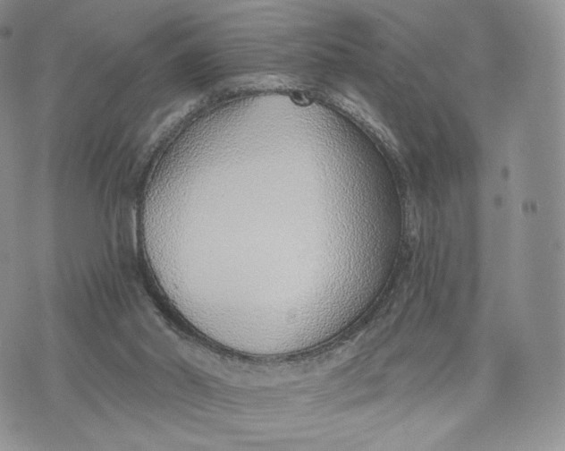 X0000072950014200608111637