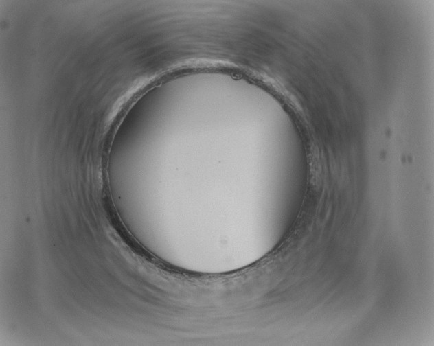 X0000072950015200608111637