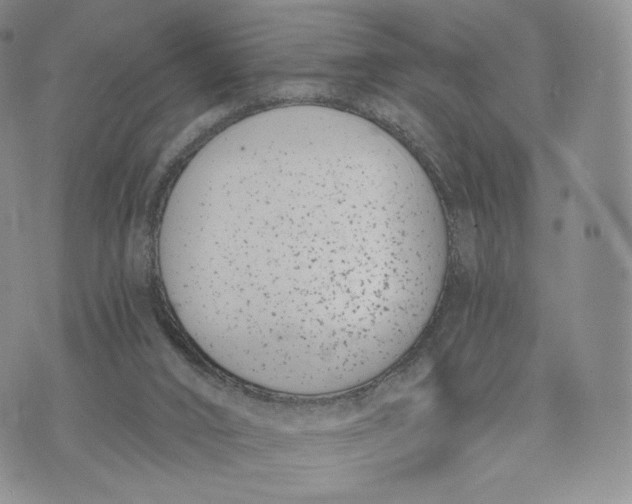 X0000072950016200608111637