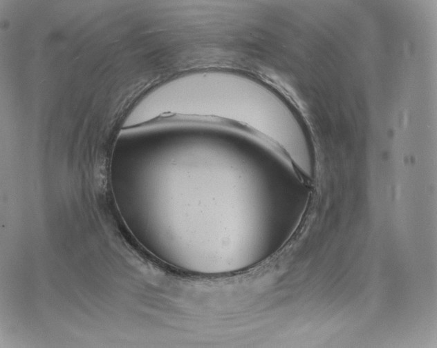 X0000072950017200608111637