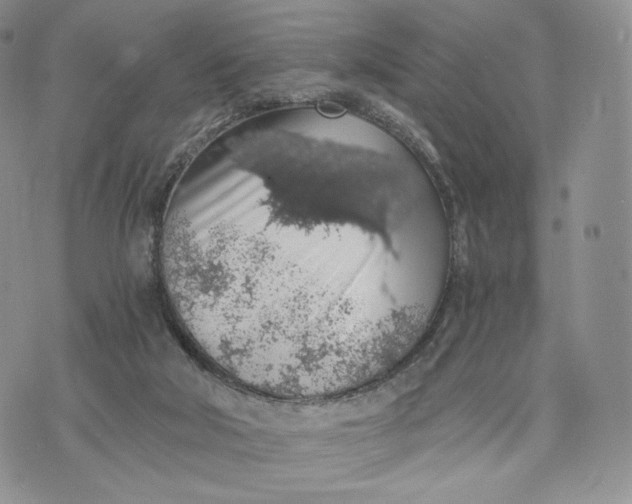 X0000072950018200608111637