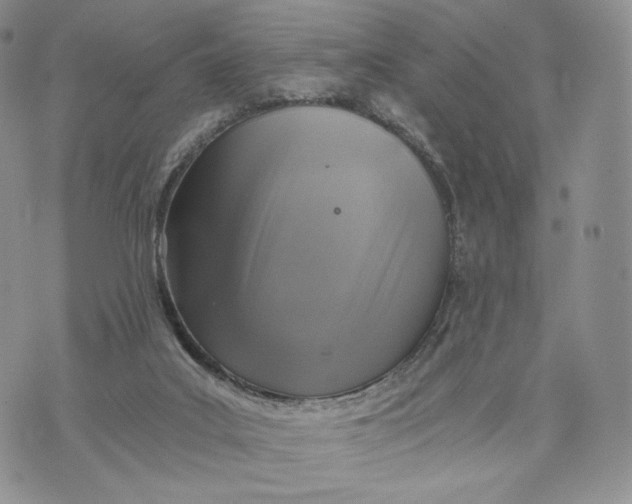 X0000072950019200608111637