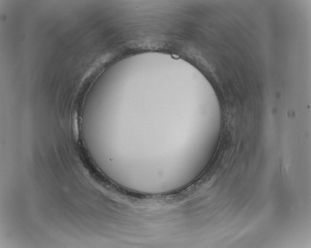 X0000072950020200608111637