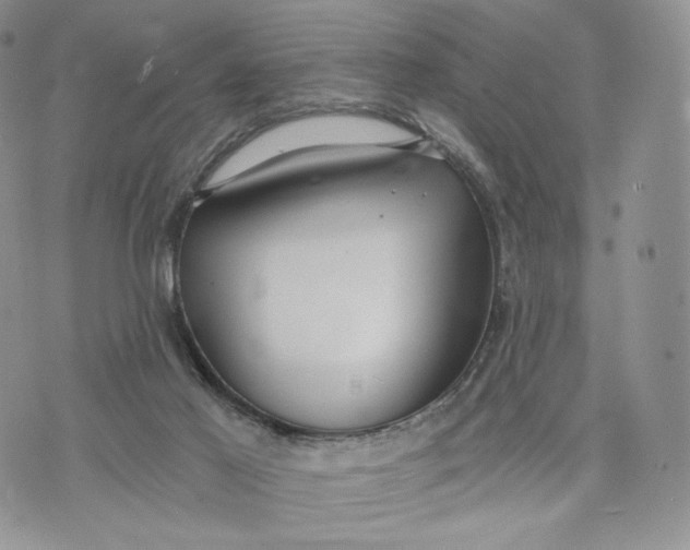 X0000072950021200608111637