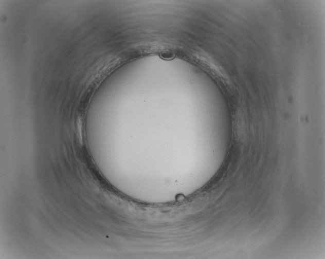 X0000072950022200608111637