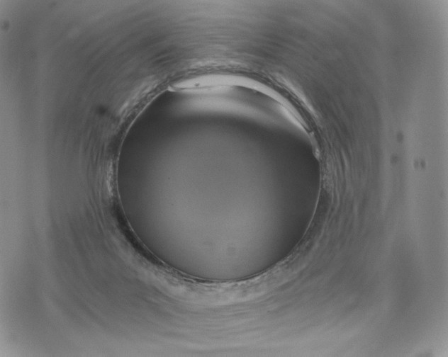 X0000072950023200608111637