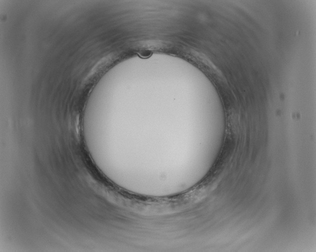 X0000072950024200608111637