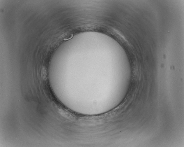 X0000072950025200608111637