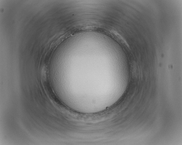 X0000072950026200608111637