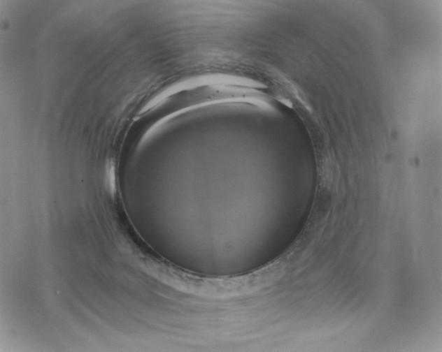 X0000072950027200608111637