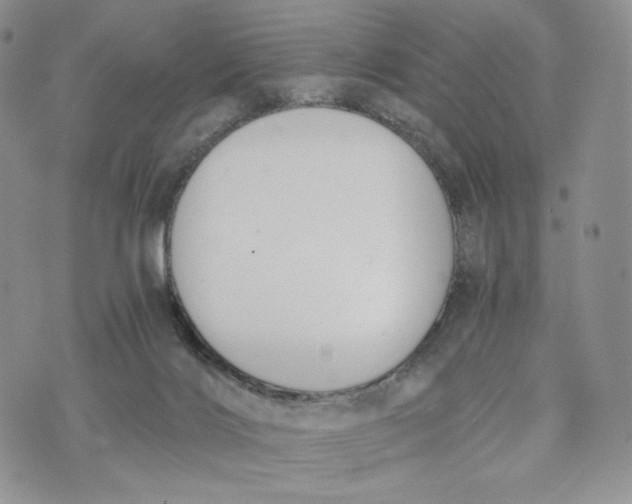 X0000072950028200608111637