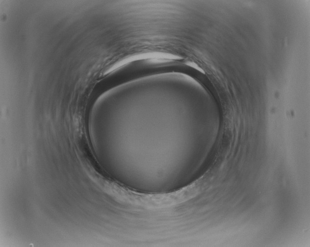 X0000072950031200608111637