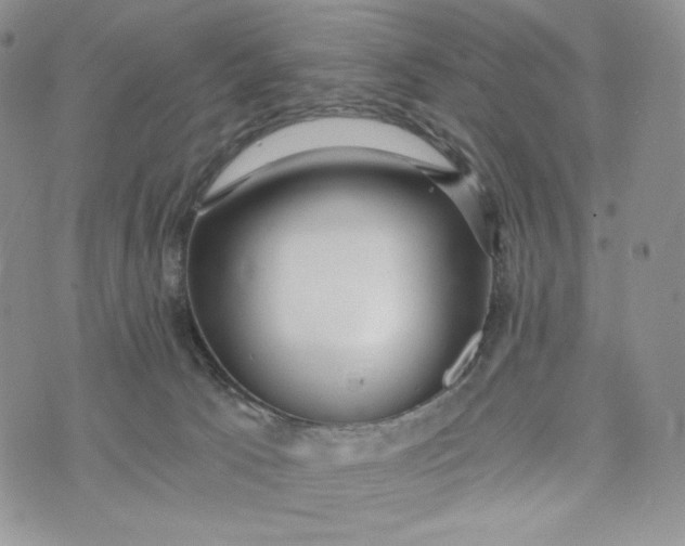 X0000072950033200608111637