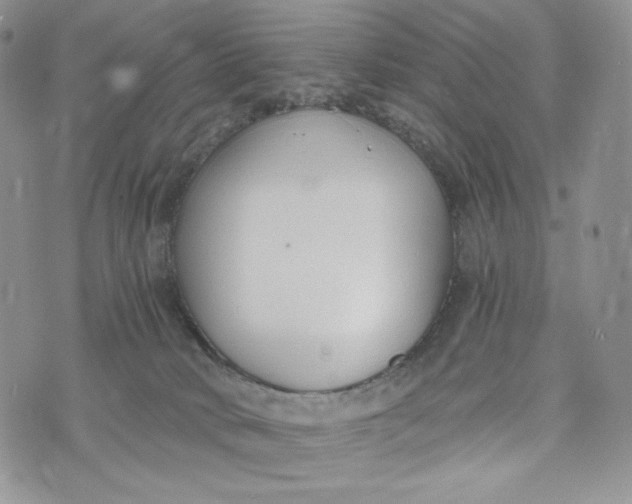 X0000072950034200608111637