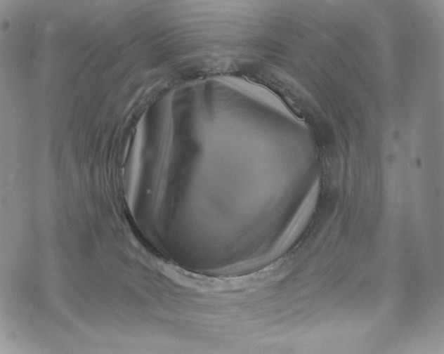 X0000072950035200608111637