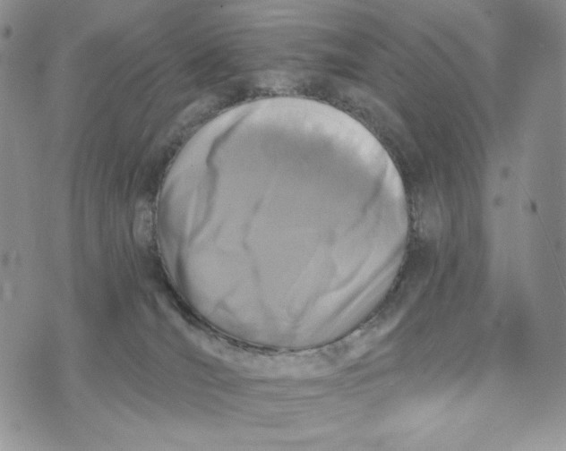 X0000072950036200608111637