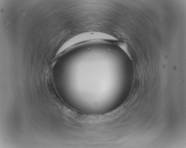 X0000072950037200608111637