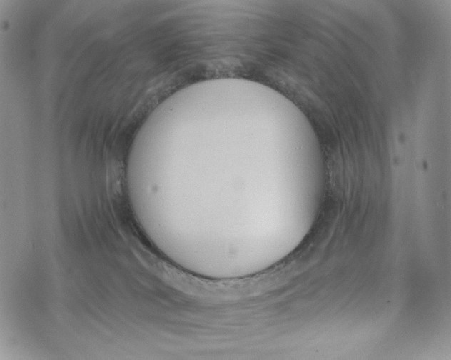 X0000072950038200608111637