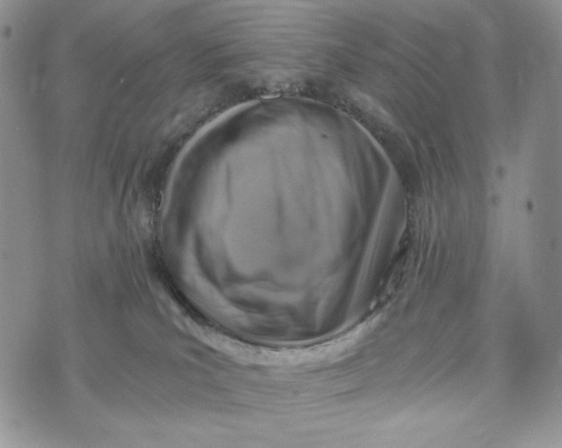 X0000072950039200608111637