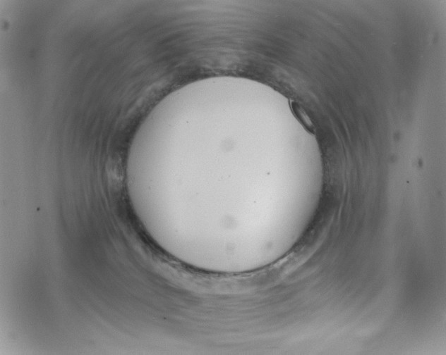 X0000072950040200608111637