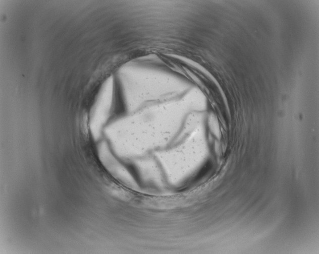 X0000072950041200608111637