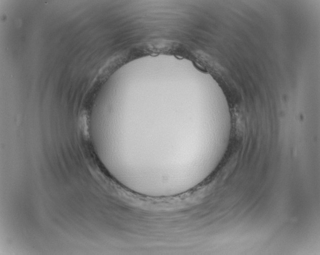 X0000072950042200608111637