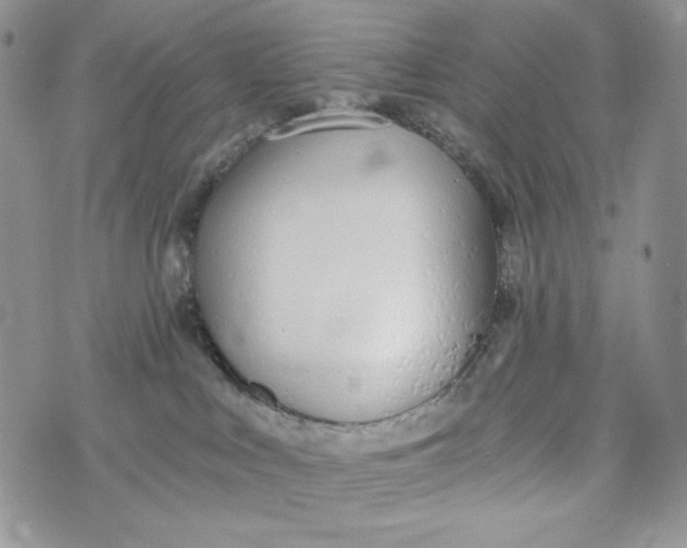 X0000072950043200608111637