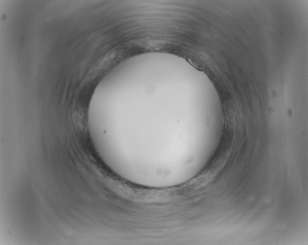 X0000072950044200608111637