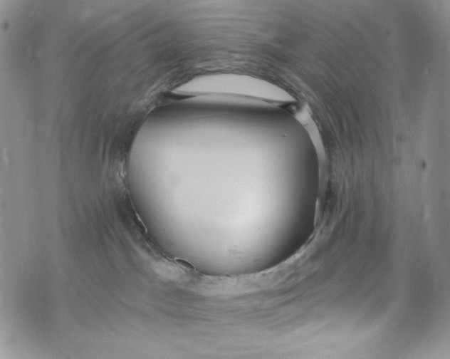 X0000072950045200608111637