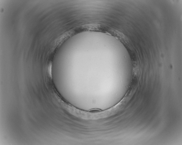 X0000072950047200608111637