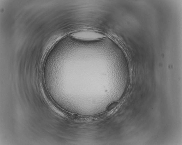 X0000072950049200608111636