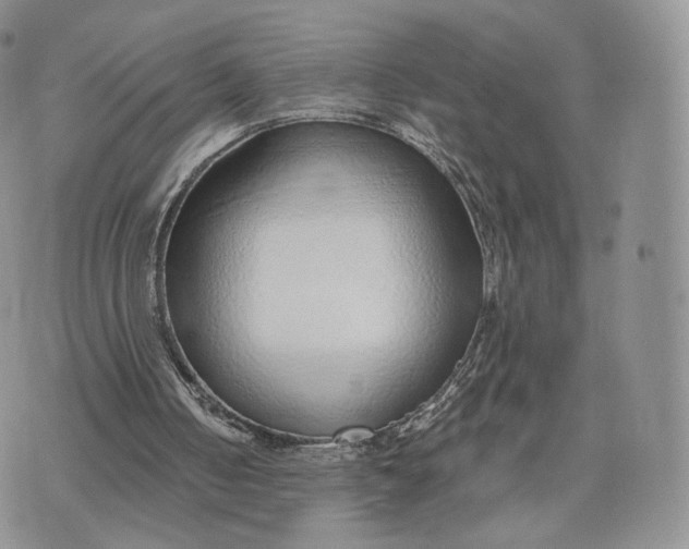 X0000072950050200608111636