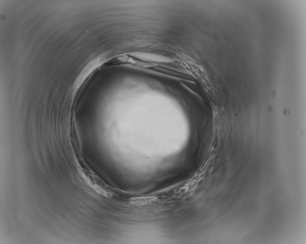 X0000072950051200608111636