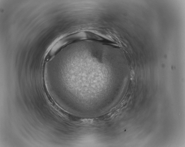 X0000072950052200608111636