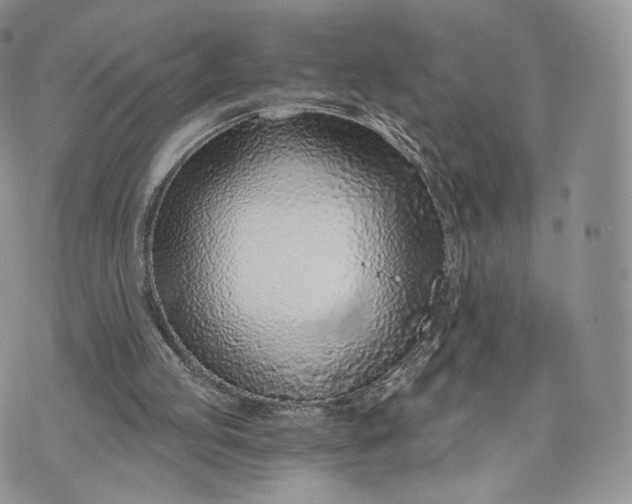 X0000072950053200608111636