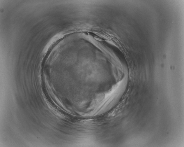 X0000072950054200608111636