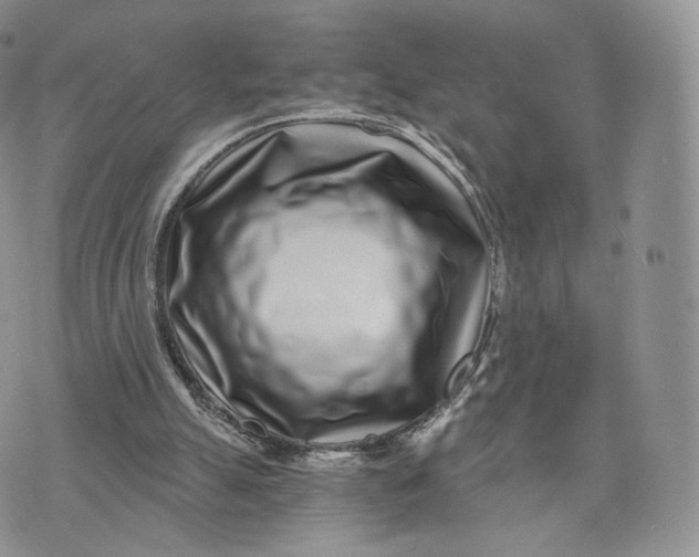 X0000072950055200608111636