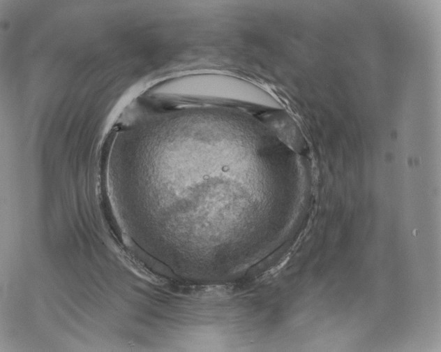 X0000072950056200608111636